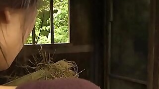 The wife fled her husband to commit adultery in the field