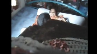 Indian aunty seduces her young son-in-law for sex in a farmhouse