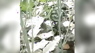 Desi old man fucks in the open air MMC sex movie