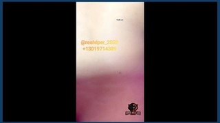 Newest SimSima Arabic collection featuring Tango