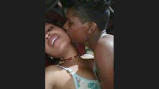 Seductive wife has sex with her brother-in-law