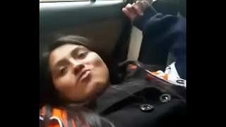 A couple engages in sexual activities inside a car